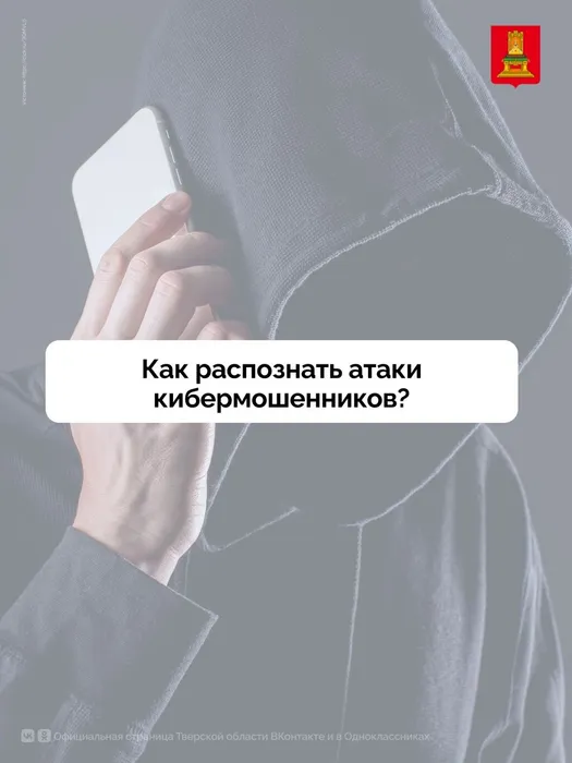 HIuwqJpPlkro60ajN1V5CpoMJnDNS-AjeaBnf5FEWt5LBY76Ew782OJwn-PROl5yU3--K-FM0i4ryKAX6vHMQrW7